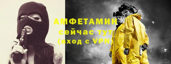 мет Алексин