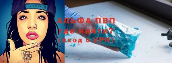мет Алексин