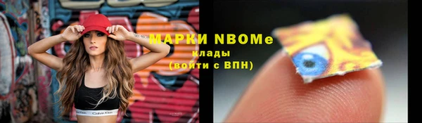 мет Алексин
