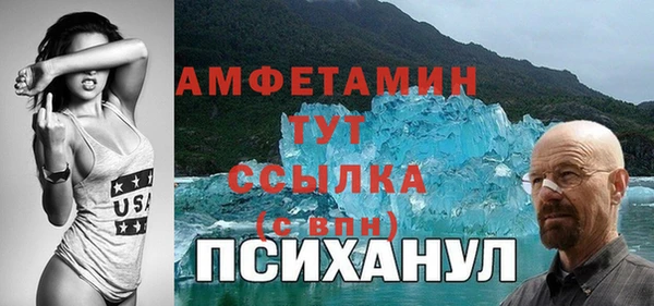мет Алексин