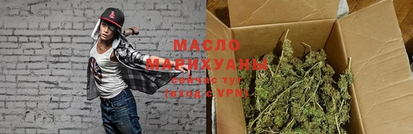 мет Алексин