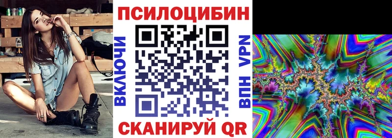 Галлюциногенные грибы Psilocybine cubensis  где можно купить   Арамиль 